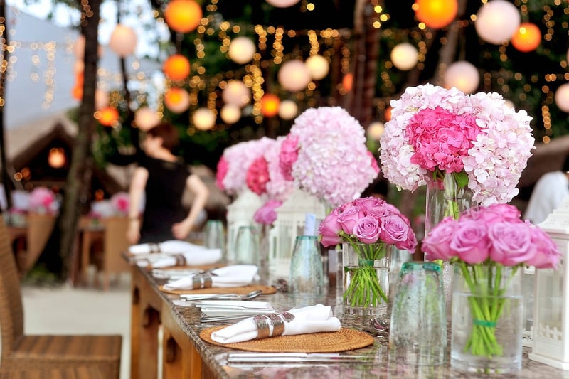 Magical Tableware and Accessories